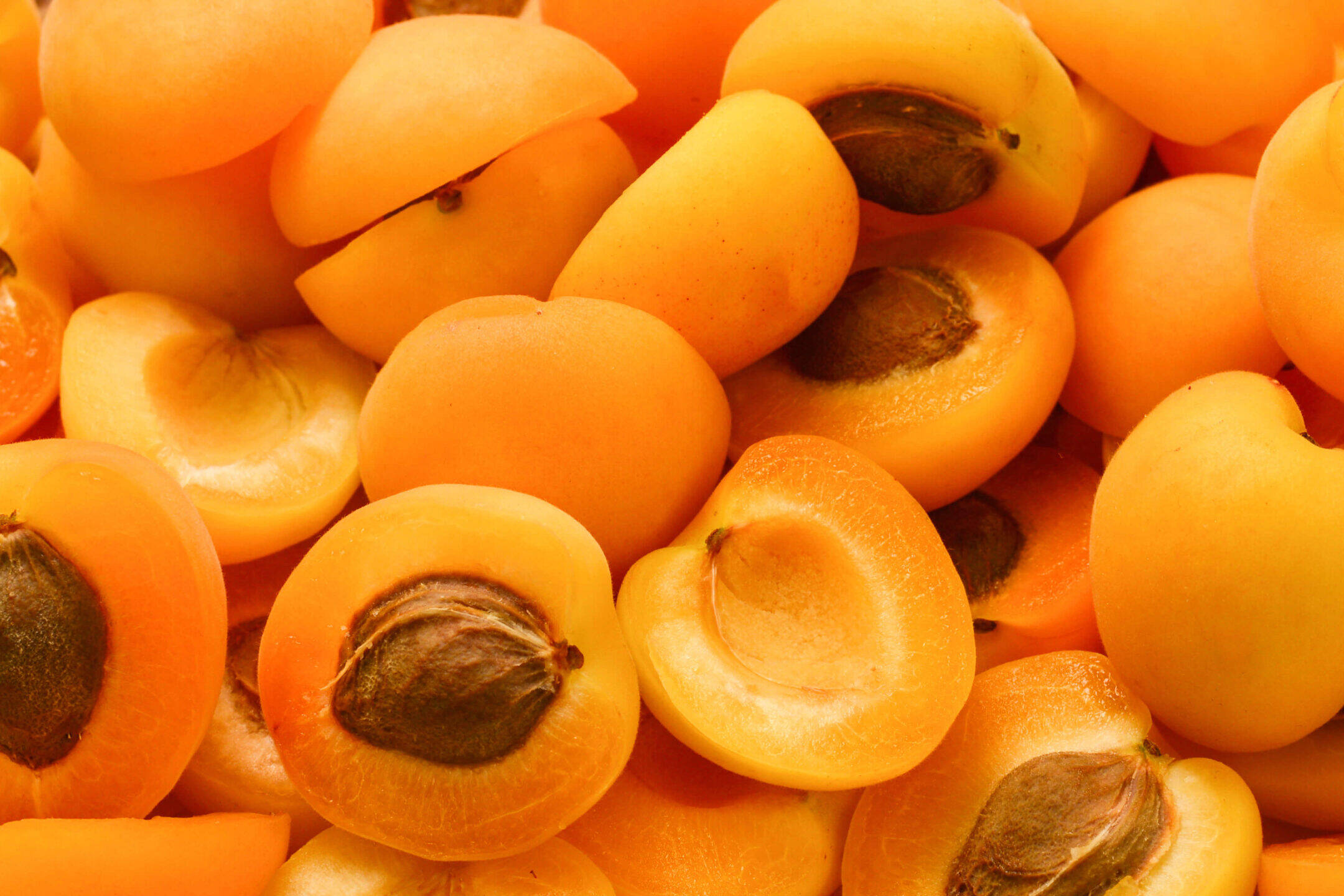 Benefits of apricot kernel oil for your skin