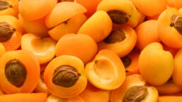 Benefits of apricot kernel oil for your skin