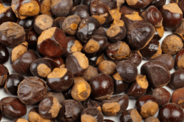 Benefits of guaraná seed powder for your skin