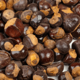 Benefits of guaraná seed powder for your skin