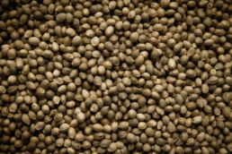 Hemp seed oil is a natural oil that is extracted from the seeds of the hemp plant. Learn about the benefits of hemp seed oil for your skin