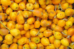 Benefits of marula seed oil for your skin